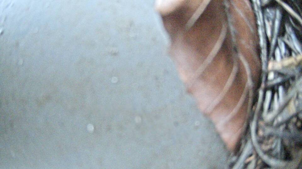 Archiv Foto Webcam Fuschlsee: Ebners Waldhof