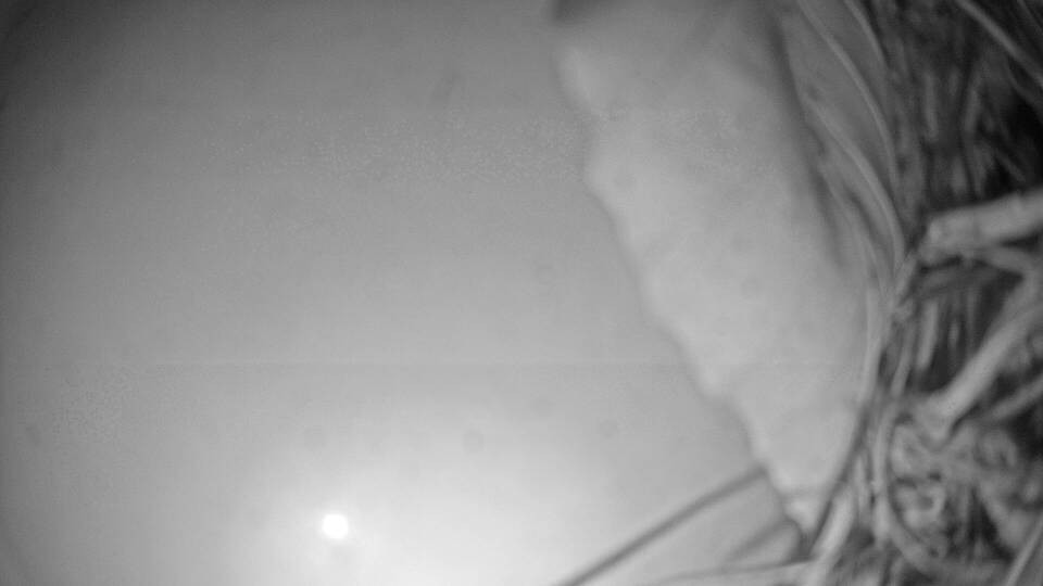 Archiv Foto Webcam Fuschlsee: Ebners Waldhof