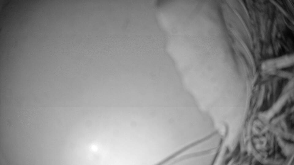 Archiv Foto Webcam Fuschlsee: Ebners Waldhof