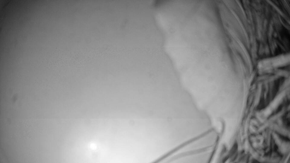 Archiv Foto Webcam Fuschlsee: Ebners Waldhof