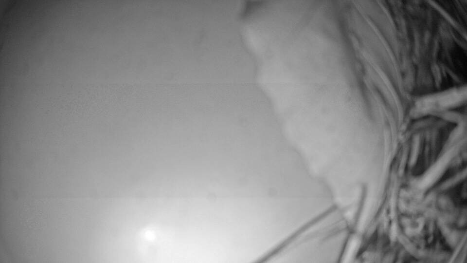 Archiv Foto Webcam Fuschlsee: Ebners Waldhof