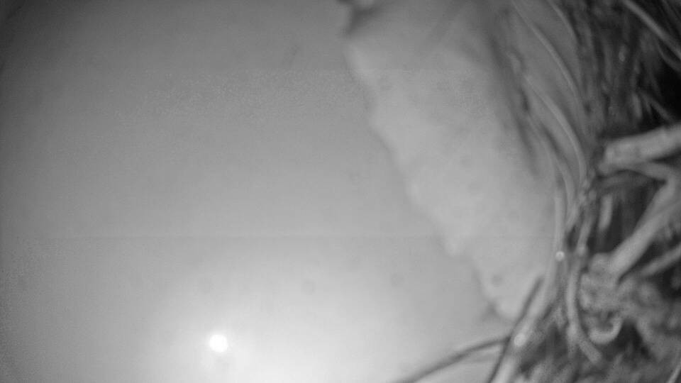 Archiv Foto Webcam Fuschlsee: Ebners Waldhof