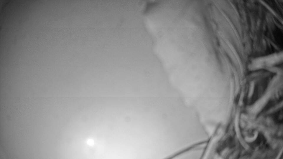 Archiv Foto Webcam Fuschlsee: Ebners Waldhof