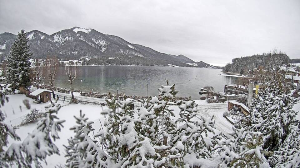 Archiv Foto Webcam Blick auf den Fuschlsee von Ebners Waldhof