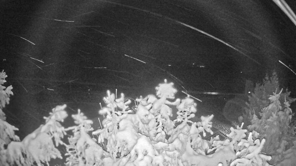 Archiv Foto Webcam Blick auf den Fuschlsee von Ebners Waldhof