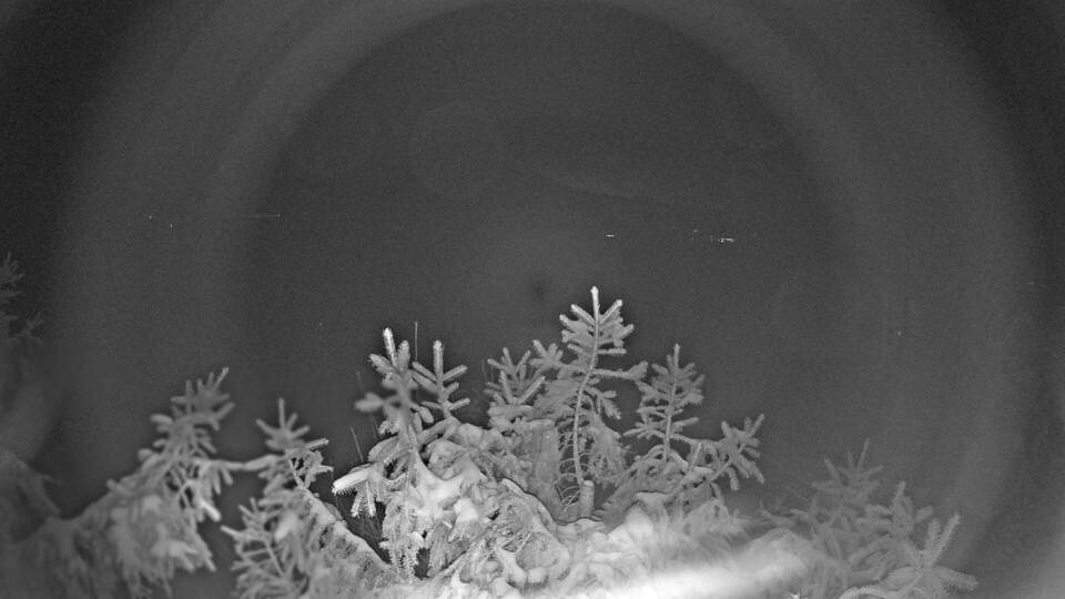 Archiv Foto Webcam Blick auf den Fuschlsee von Ebners Waldhof