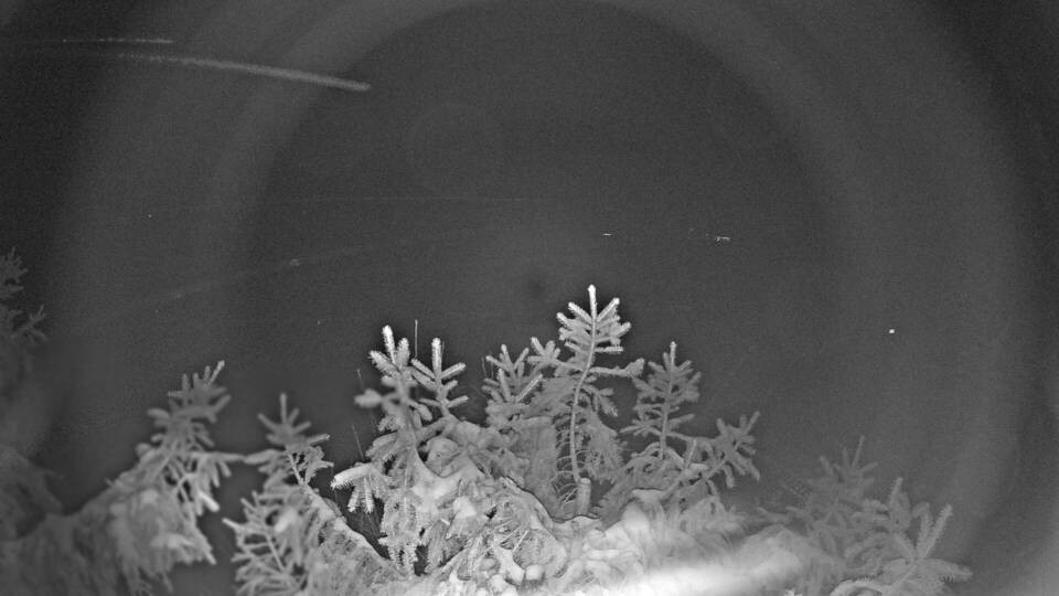 Archiv Foto Webcam Blick auf den Fuschlsee von Ebners Waldhof