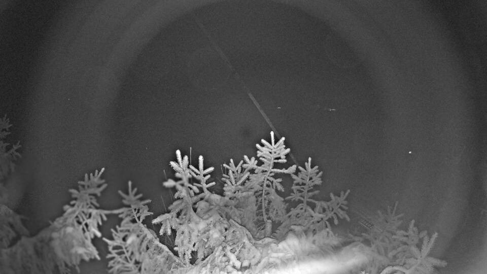 Archiv Foto Webcam Blick auf den Fuschlsee von Ebners Waldhof