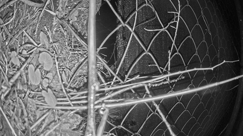 Archiv Foto Webcam Blick auf den Fuschlsee von Ebners Waldhof