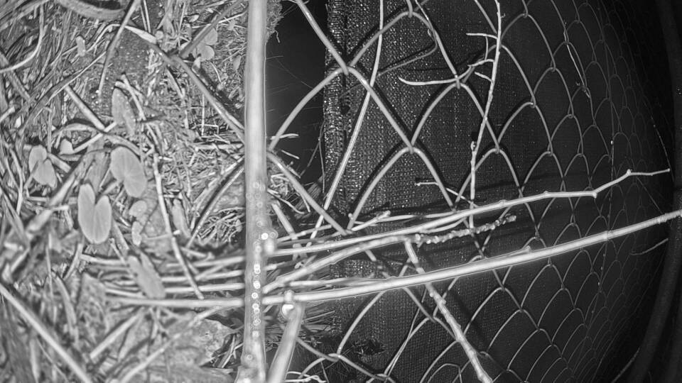 Archiv Foto Webcam Blick auf den Fuschlsee von Ebners Waldhof