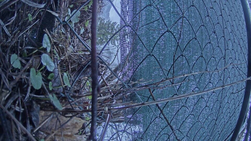 Archiv Foto Webcam Blick auf den Fuschlsee von Ebners Waldhof