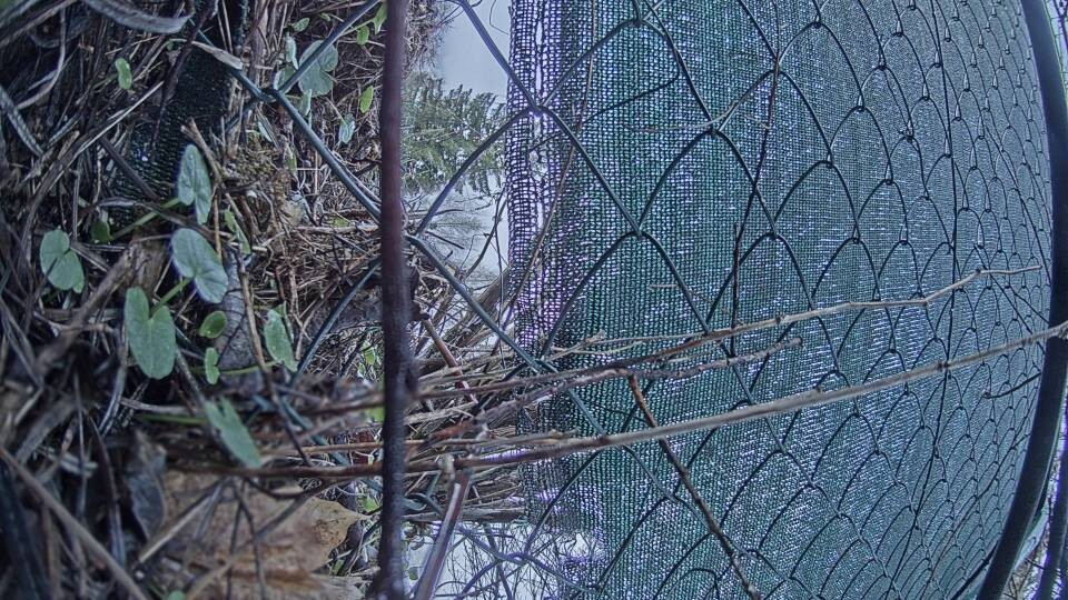 Archiv Foto Webcam Blick auf den Fuschlsee von Ebners Waldhof