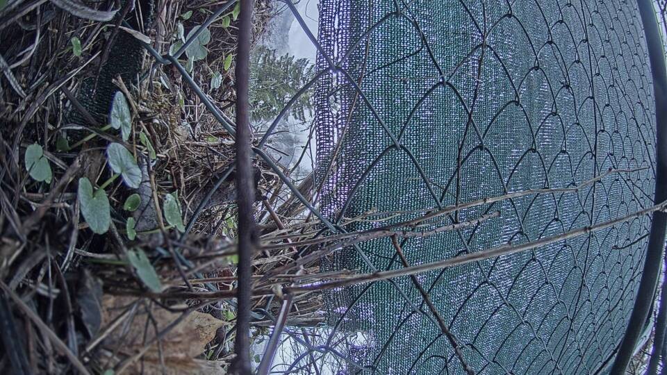 Archiv Foto Webcam Blick auf den Fuschlsee von Ebners Waldhof