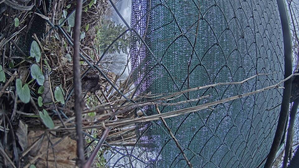 Archiv Foto Webcam Blick auf den Fuschlsee von Ebners Waldhof