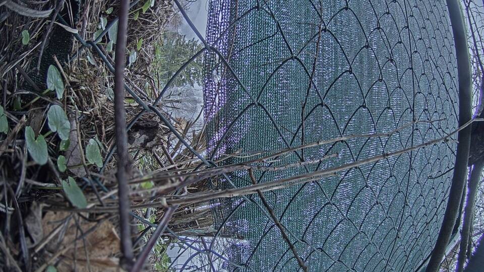 Archiv Foto Webcam Blick auf den Fuschlsee von Ebners Waldhof