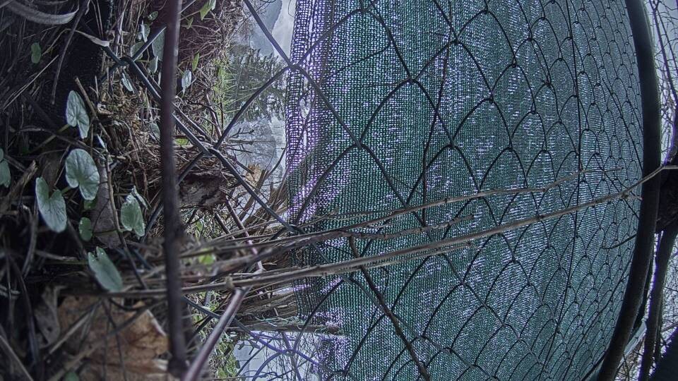 Archiv Foto Webcam Blick auf den Fuschlsee von Ebners Waldhof