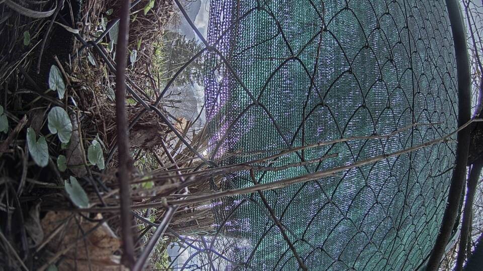 Archiv Foto Webcam Blick auf den Fuschlsee von Ebners Waldhof