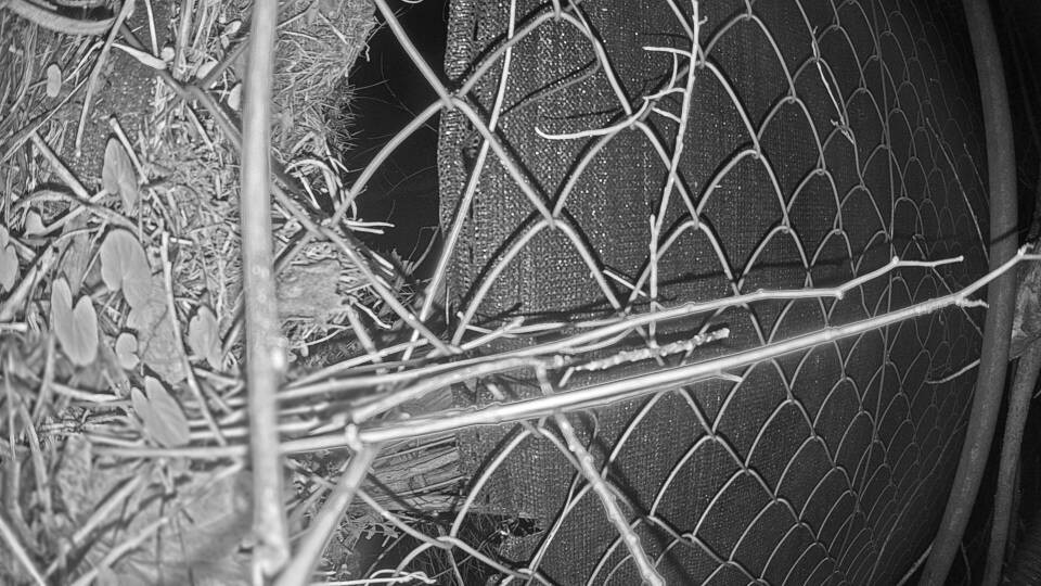 Archiv Foto Webcam Blick auf den Fuschlsee von Ebners Waldhof