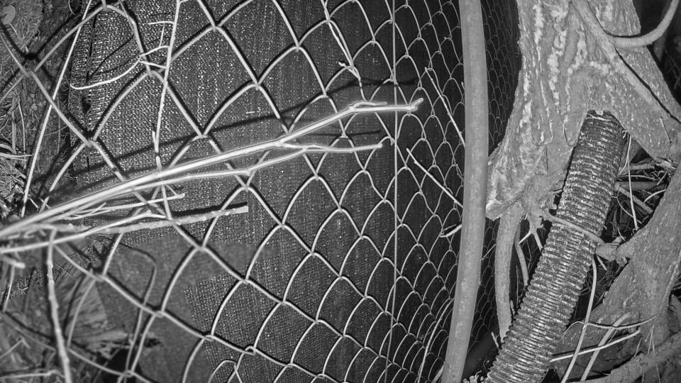 Archived image Webcam View Lake Fuschlsee