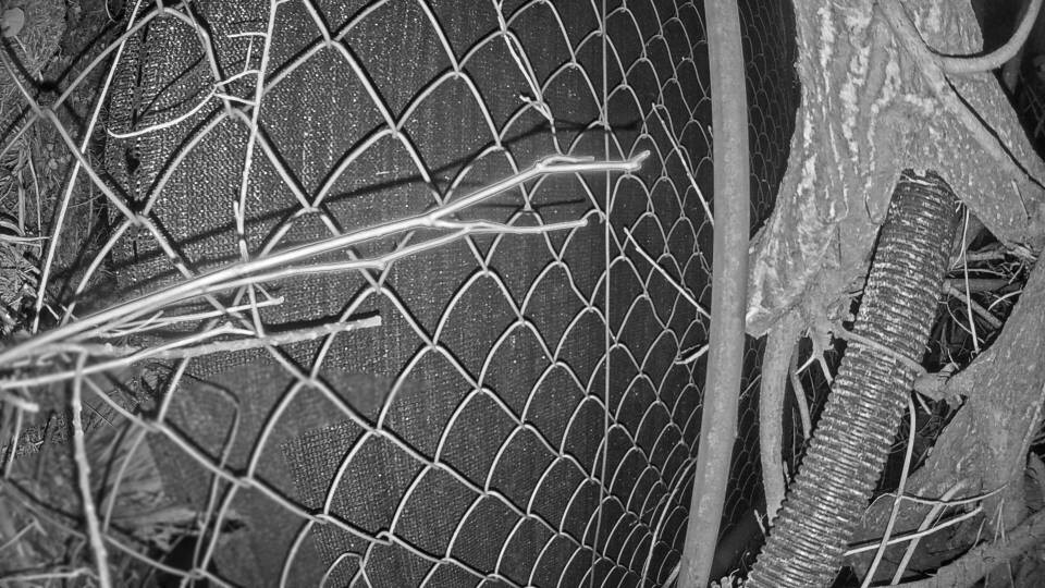 Archived image Webcam View Lake Fuschlsee