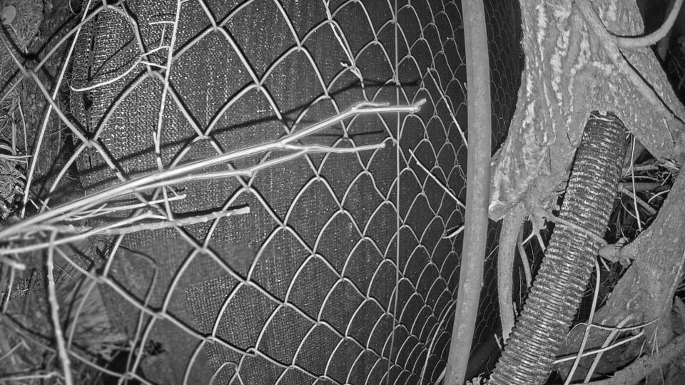 Archived image Webcam View Lake Fuschlsee