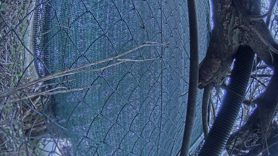 Archived image Webcam View Lake Fuschlsee