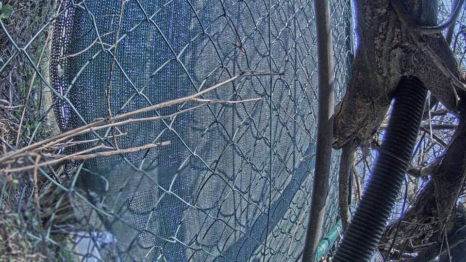 Archived image Webcam View Lake Fuschlsee