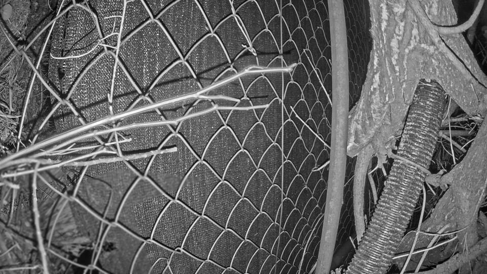 Archiv Foto Webcam Blick auf den Fuschlsee von Ebners Waldhof