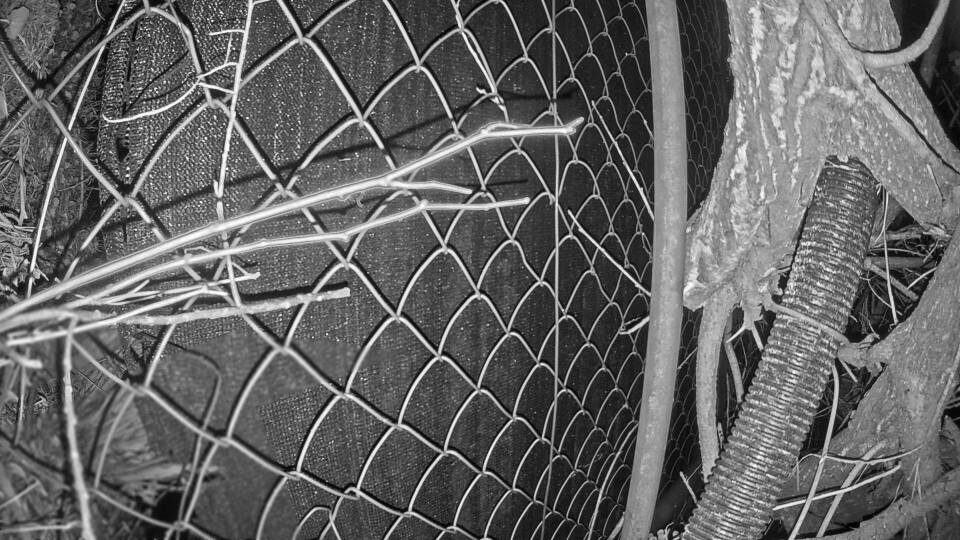 Archiv Foto Webcam Blick auf den Fuschlsee von Ebners Waldhof