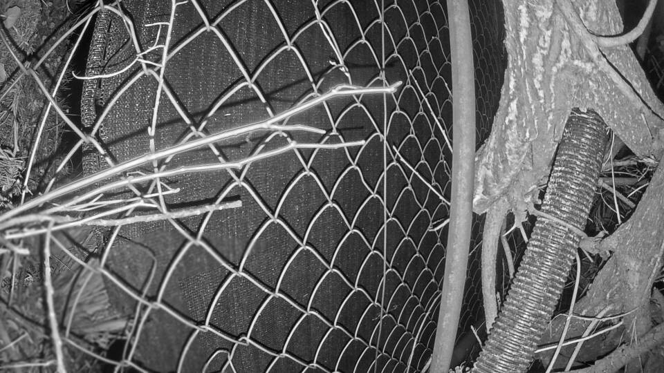 Archiv Foto Webcam Blick auf den Fuschlsee von Ebners Waldhof