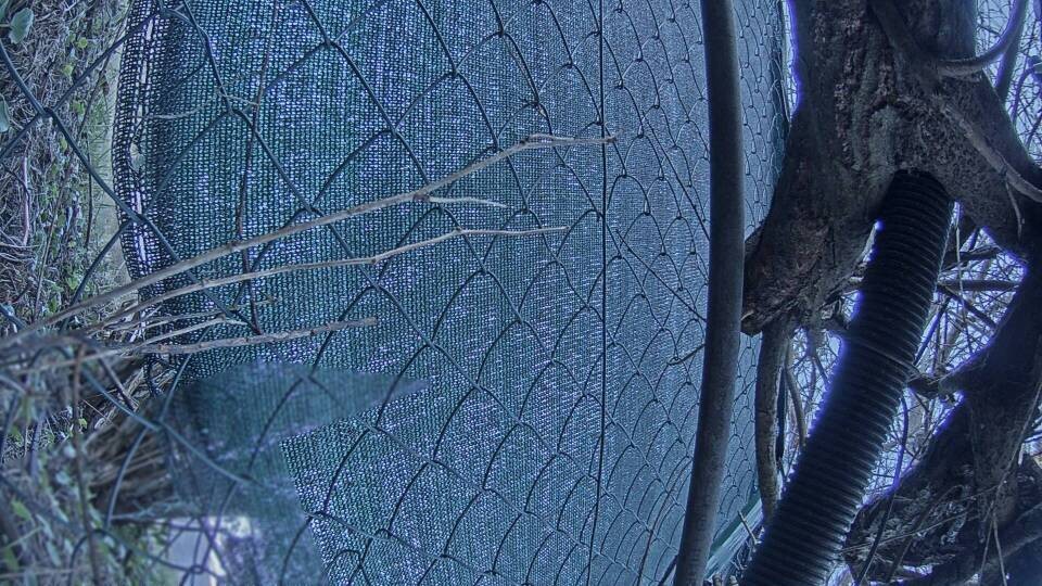 Archiv Foto Webcam Blick auf den Fuschlsee von Ebners Waldhof