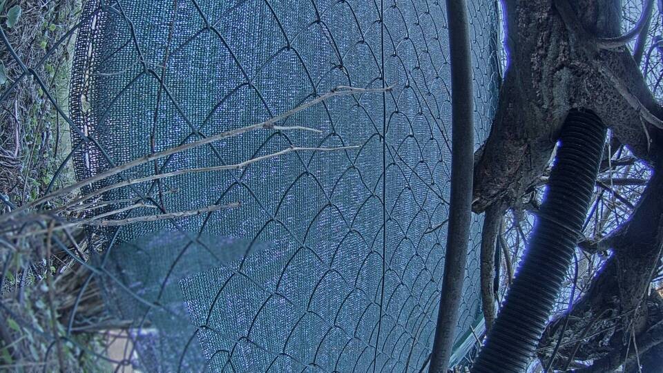 Archiv Foto Webcam Blick auf den Fuschlsee von Ebners Waldhof