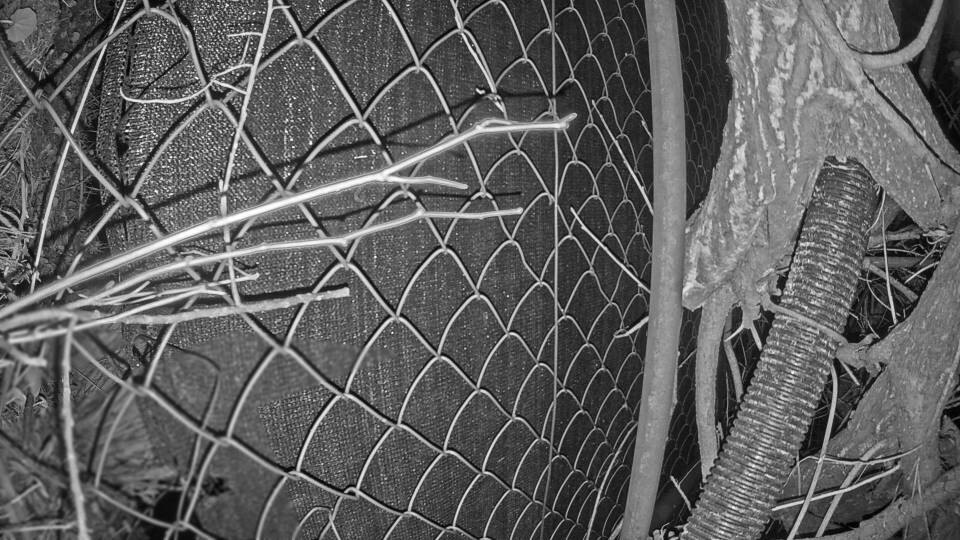 Archiv Foto Webcam Blick auf den Fuschlsee von Ebners Waldhof