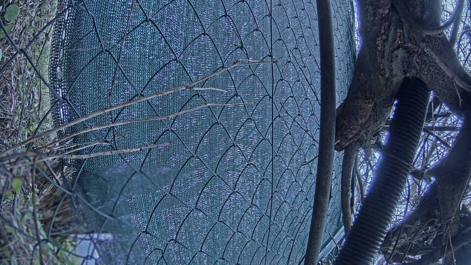 Archiv Foto Webcam Blick auf den Fuschlsee von Ebners Waldhof