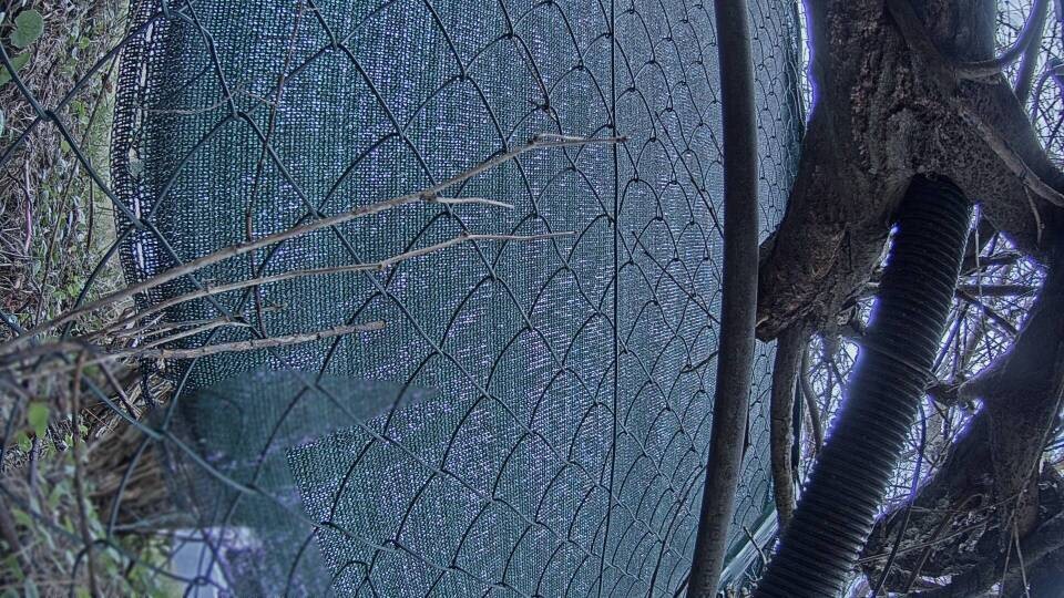 Archiv Foto Webcam Blick auf den Fuschlsee von Ebners Waldhof