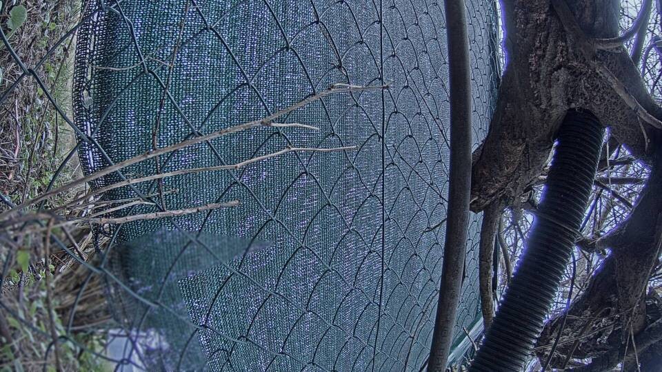 Archiv Foto Webcam Blick auf den Fuschlsee von Ebners Waldhof