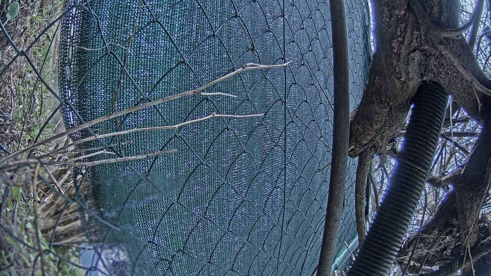 Archiv Foto Webcam Blick auf den Fuschlsee von Ebners Waldhof