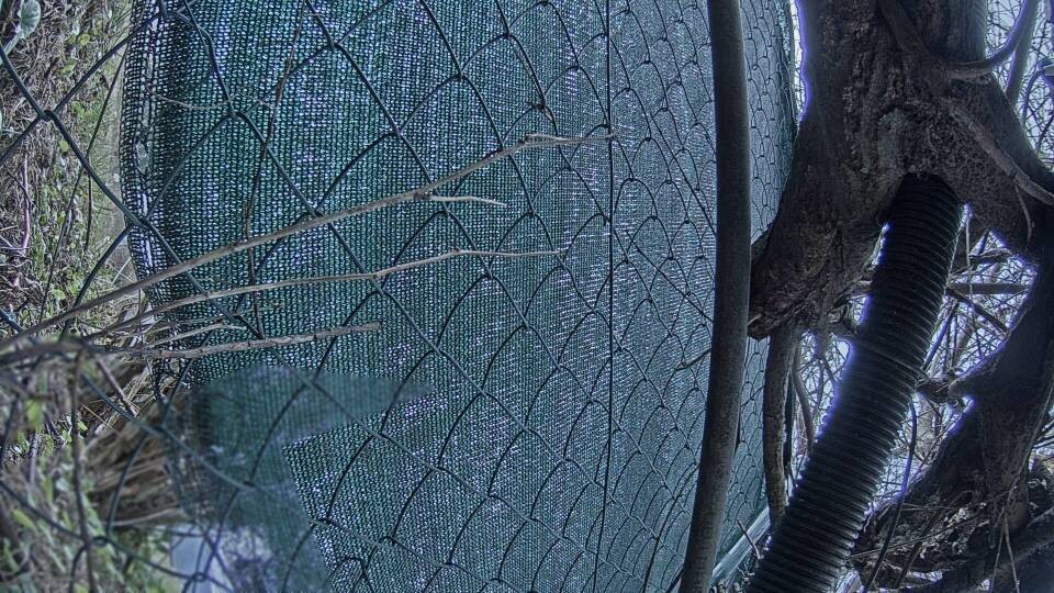 Archiv Foto Webcam Blick auf den Fuschlsee von Ebners Waldhof