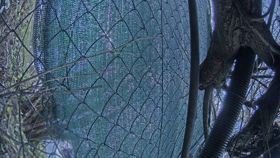 Archiv Foto Webcam Blick auf den Fuschlsee von Ebners Waldhof