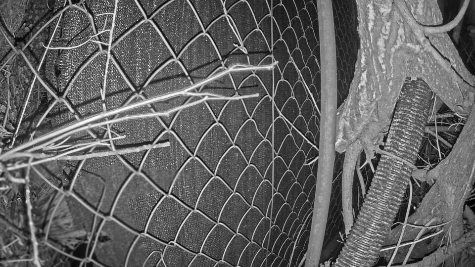 Archiv Foto Webcam Blick auf den Fuschlsee von Ebners Waldhof