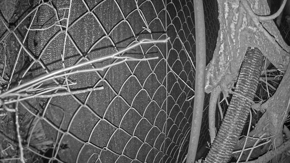 Archiv Foto Webcam Blick auf den Fuschlsee von Ebners Waldhof