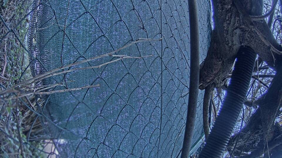 Archiv Foto Webcam Blick auf den Fuschlsee von Ebners Waldhof