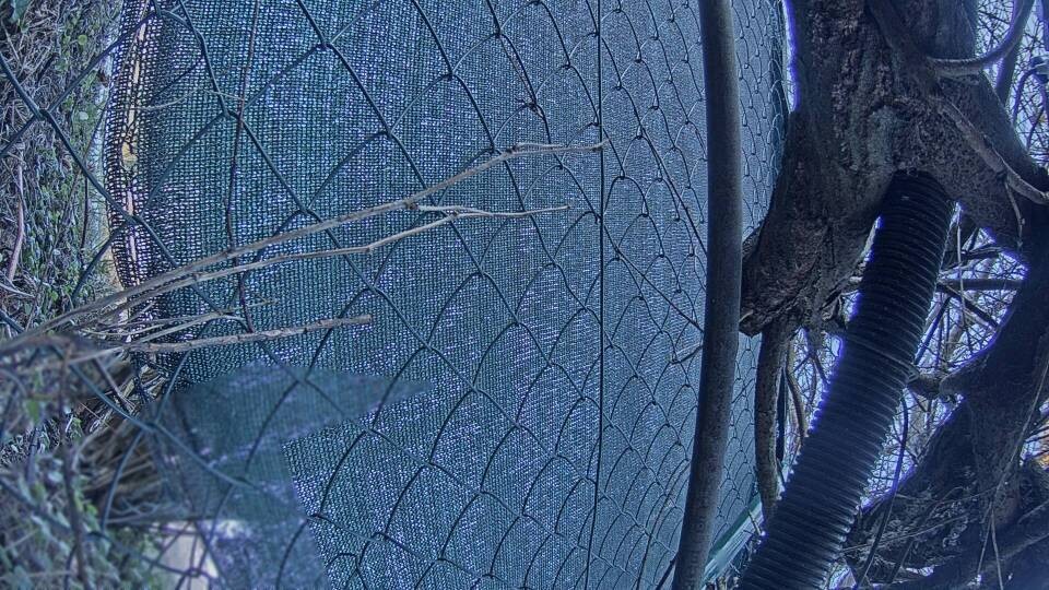 Archiv Foto Webcam Blick auf den Fuschlsee von Ebners Waldhof