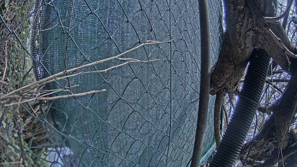 Archiv Foto Webcam Blick auf den Fuschlsee von Ebners Waldhof