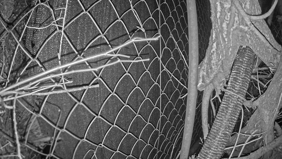 Archiv Foto Webcam Blick auf den Fuschlsee von Ebners Waldhof