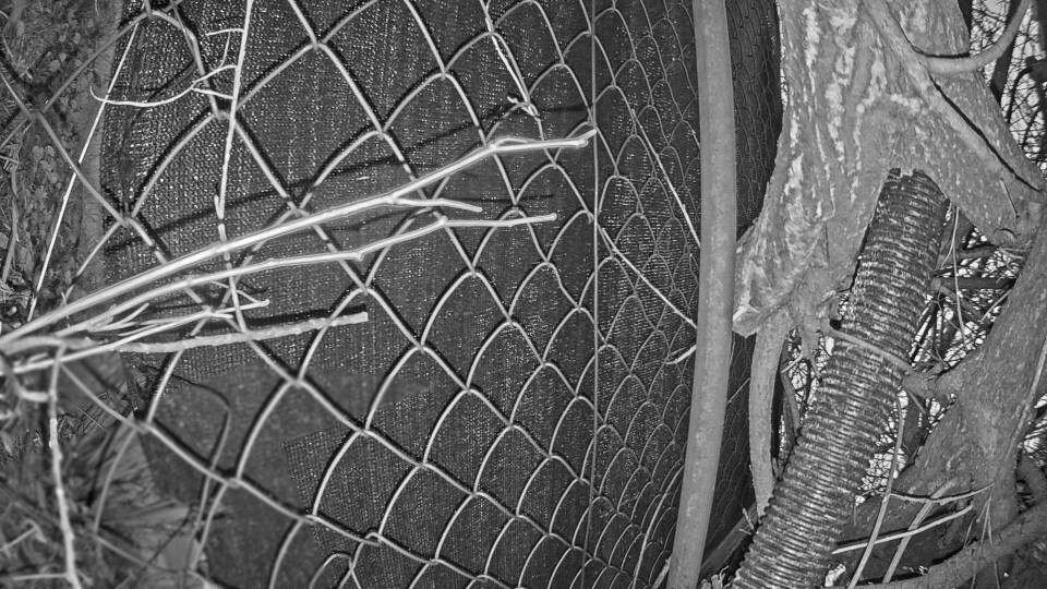 Archiv Foto Webcam Blick auf den Fuschlsee von Ebners Waldhof