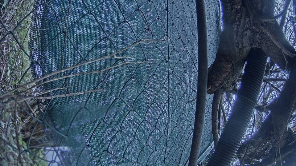 Archiv Foto Webcam Blick auf den Fuschlsee von Ebners Waldhof