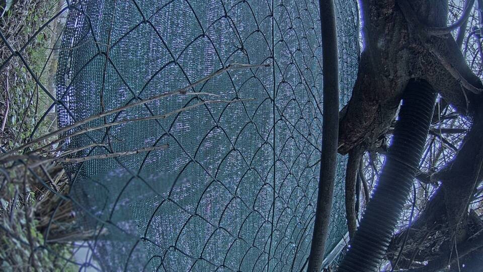 Archiv Foto Webcam Blick auf den Fuschlsee von Ebners Waldhof