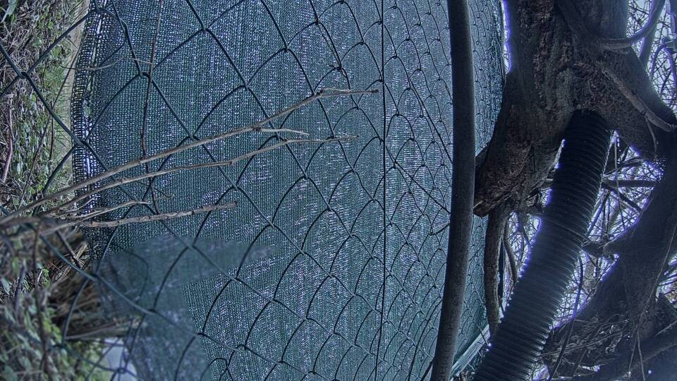 Archiv Foto Webcam Blick auf den Fuschlsee von Ebners Waldhof