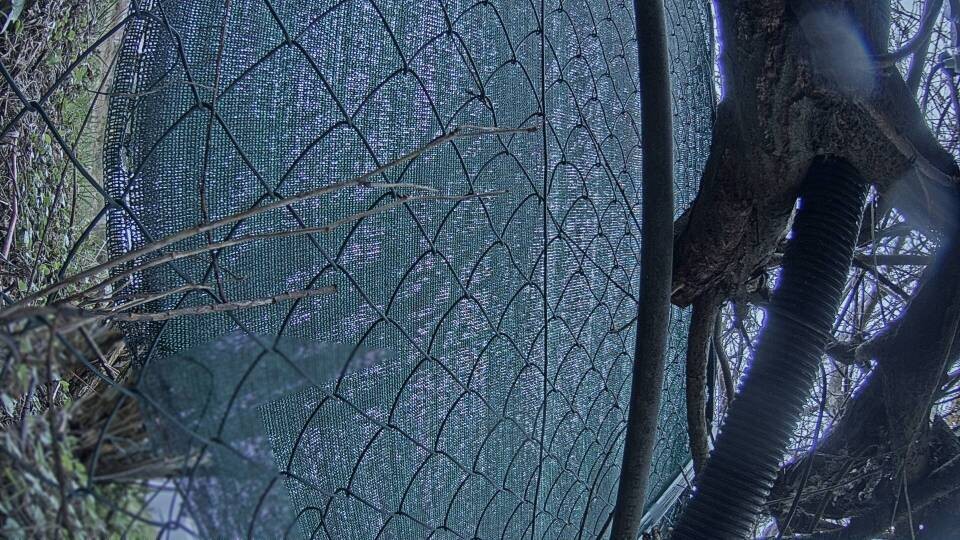 Archiv Foto Webcam Blick auf den Fuschlsee von Ebners Waldhof